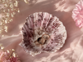 Mermaid Treasure Dish